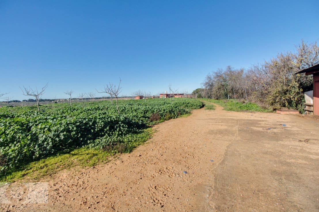 1 camera da letto Finca/Casa di Campagna in vendita in Rociana del Condado - 330.000 € (Rif: 8188567)