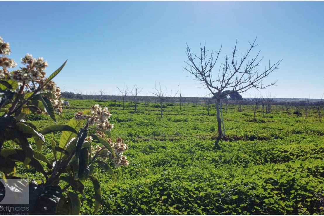 1 camera da letto Finca/Casa di Campagna in vendita in Rociana del Condado - 330.000 € (Rif: 8188567)