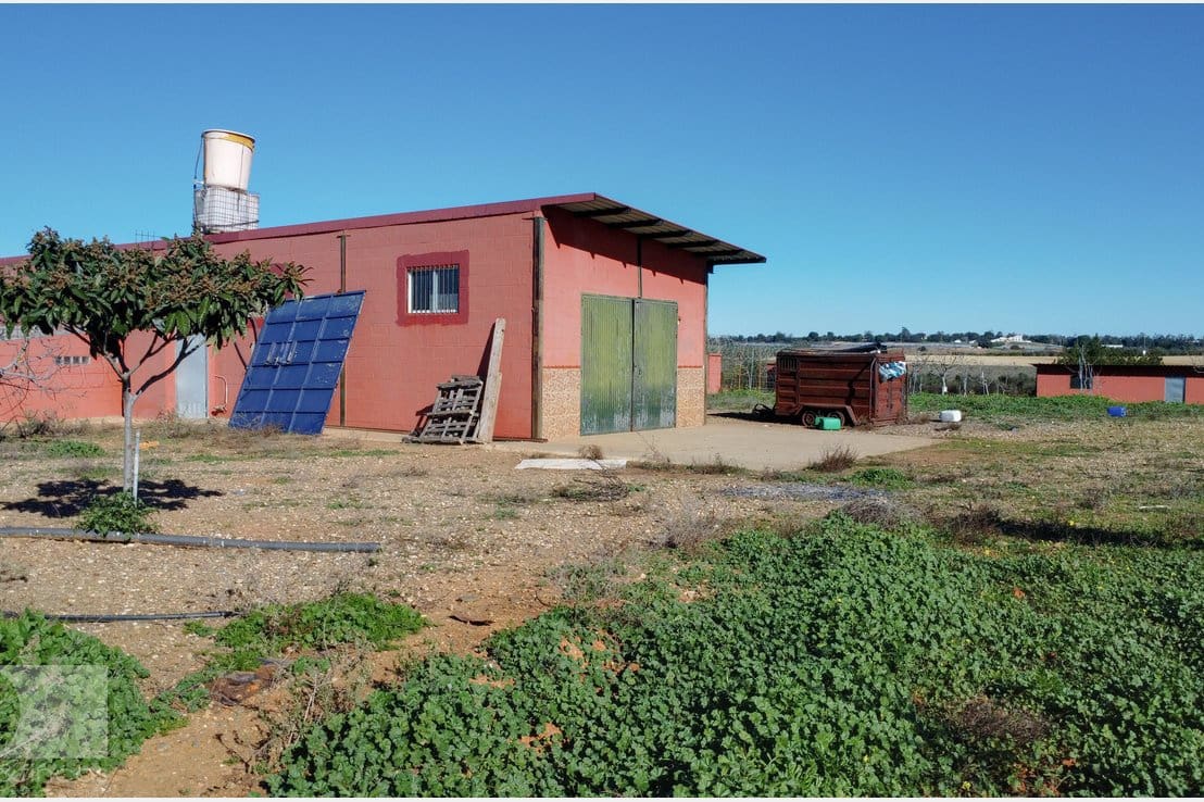 1 camera da letto Finca/Casa di Campagna in vendita in Rociana del Condado - 330.000 € (Rif: 8188567)