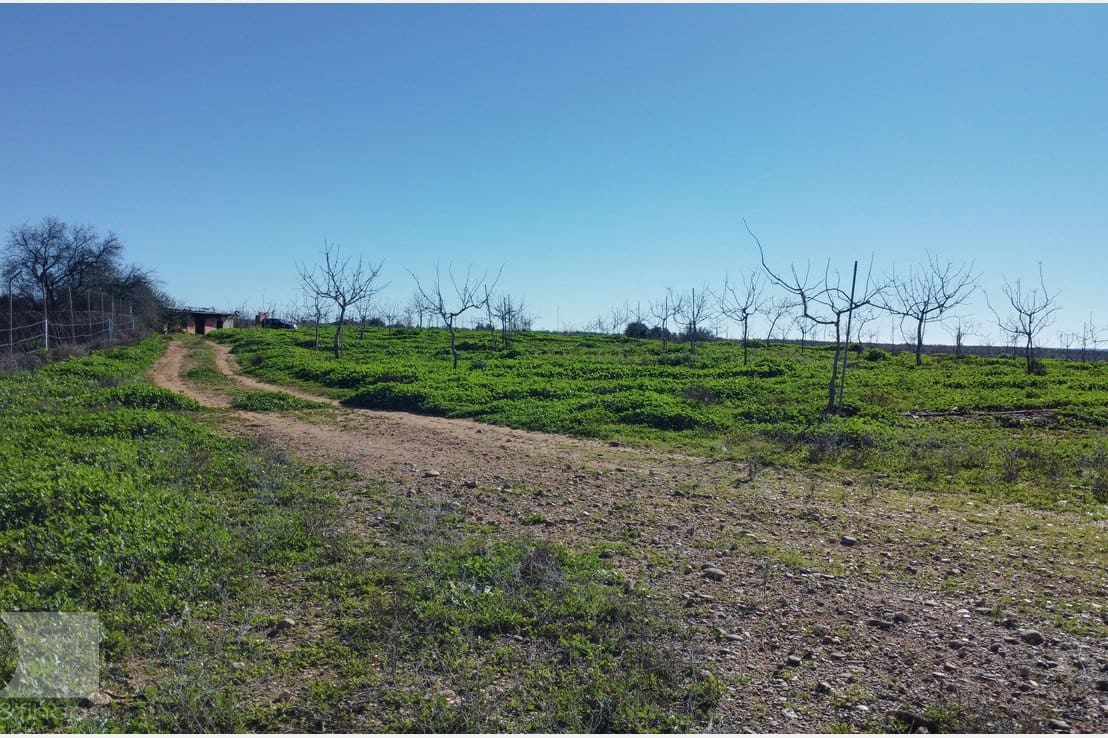 1 camera da letto Finca/Casa di Campagna in vendita in Rociana del Condado - 330.000 € (Rif: 8188567)