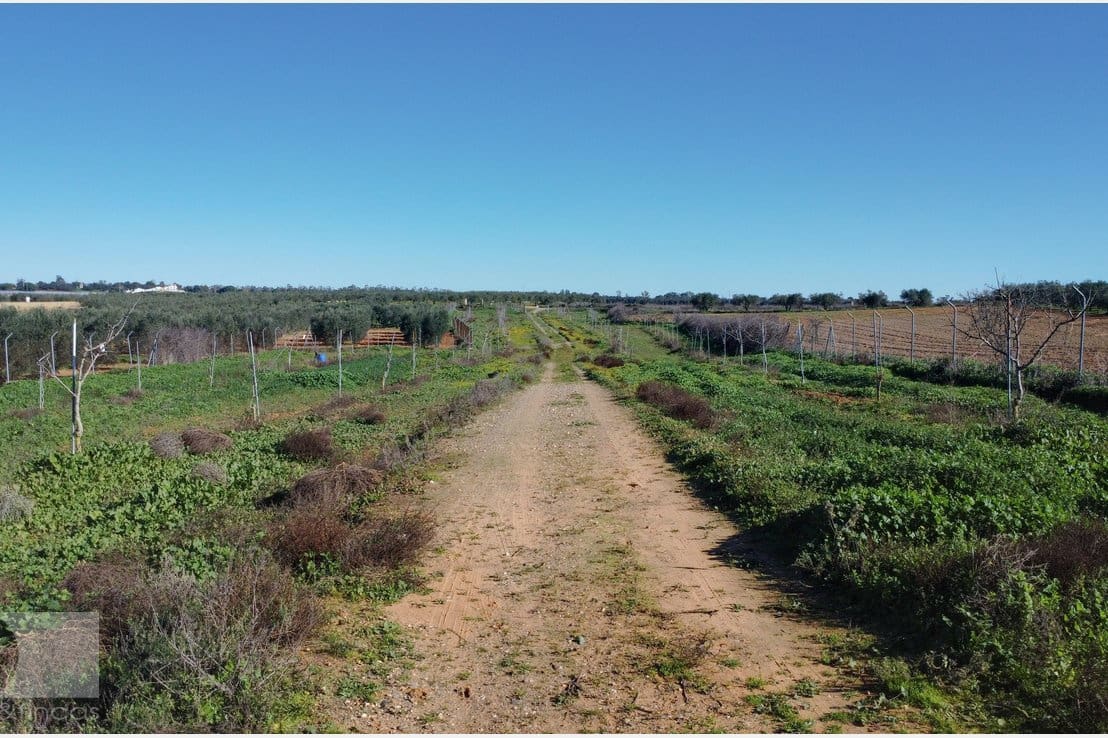 1 camera da letto Finca/Casa di Campagna in vendita in Rociana del Condado - 330.000 € (Rif: 8188567)