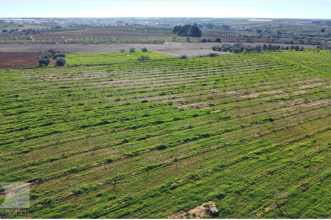 1 camera da letto Finca/Casa di Campagna in vendita in Rociana del Condado - 330.000 € (Rif: 8188567)