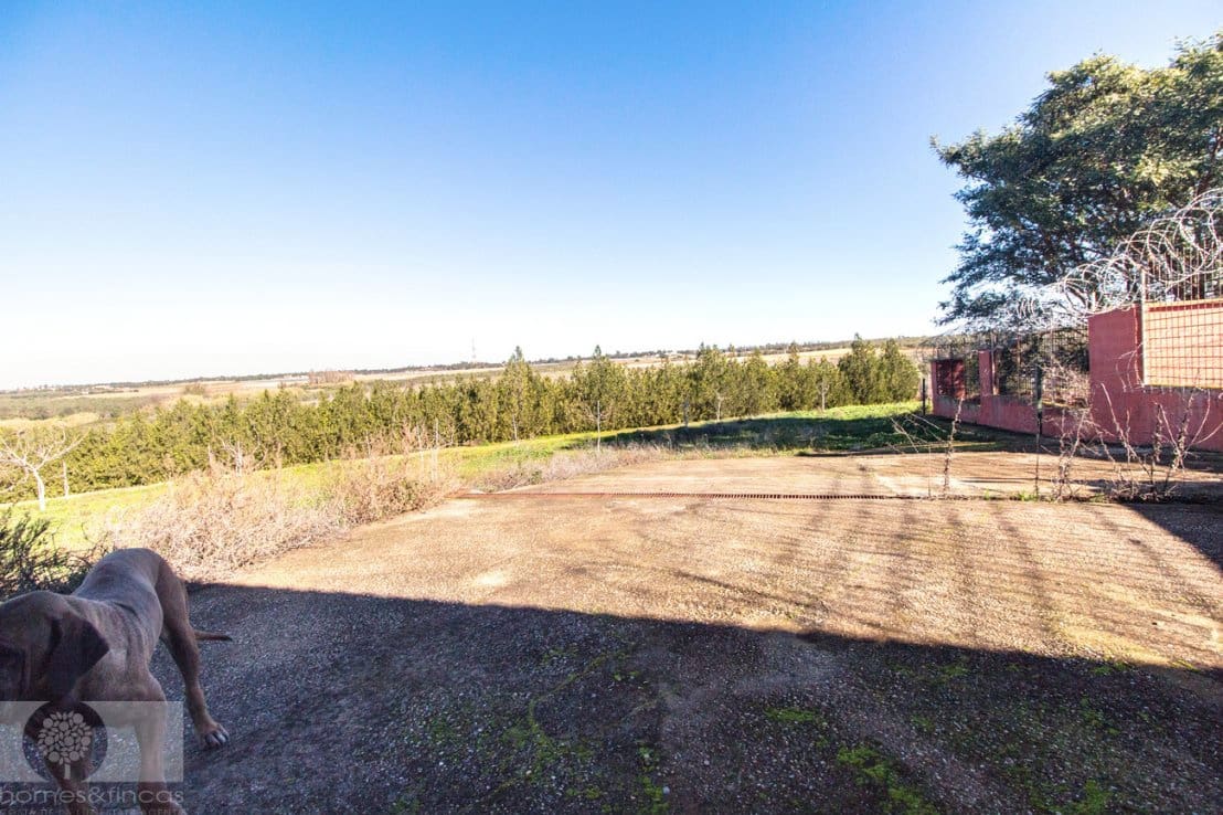 1 camera da letto Finca/Casa di Campagna in vendita in Rociana del Condado - 330.000 € (Rif: 8188567)