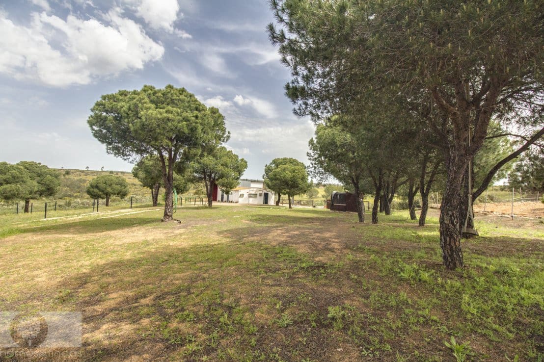 3 chambre Finca/Maison de Campagne à vendre à Lepe - 240 000 € (Ref: 8934598)