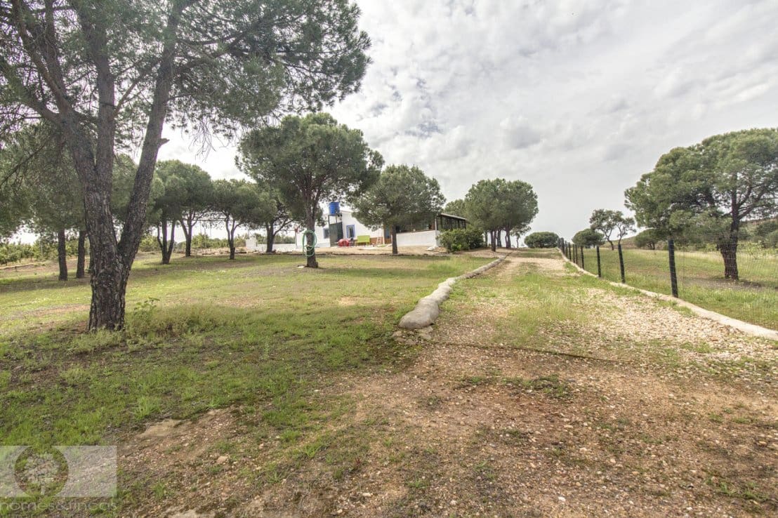 3 chambre Finca/Maison de Campagne à vendre à Lepe - 240 000 € (Ref: 8934598)