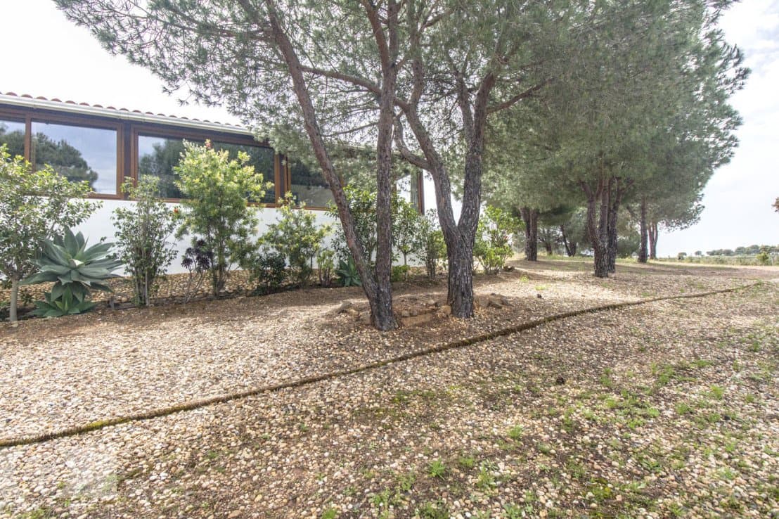 3 chambre Finca/Maison de Campagne à vendre à Lepe - 240 000 € (Ref: 8934598)