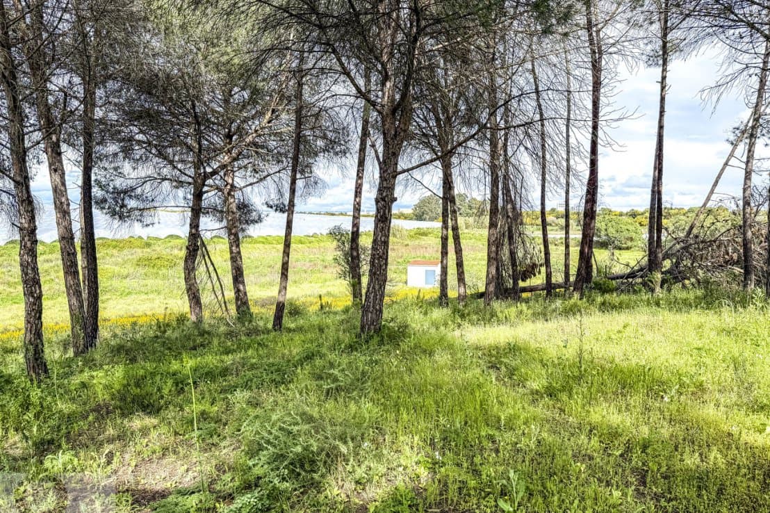 Finca/Country House for sale in Lepe - € 140,000 (Ref: 8940616)