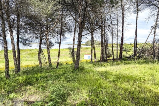 Finca/Country House for sale in Lepe - € 140,000 (Ref: 8940616)