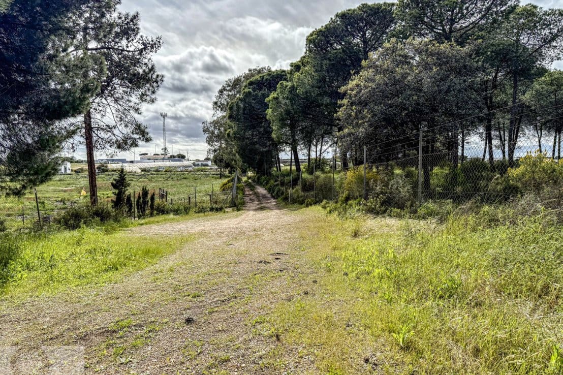 Finca/Country House for sale in Lepe - € 140,000 (Ref: 8940616)