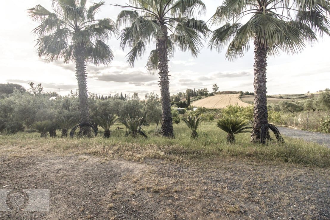 3 soveværelse Finca/Landehus til salg i Gibraleon - € 169.000 (Ref: 8989769)