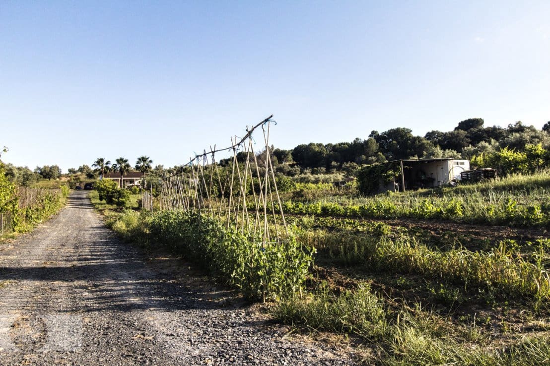 3 soveværelse Finca/Landehus til salg i Gibraleon - € 169.000 (Ref: 8989769)