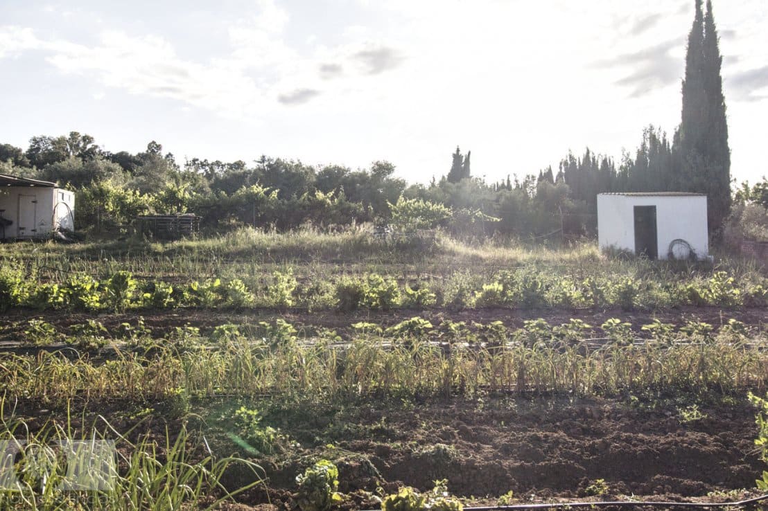 3 soveværelse Finca/Landehus til salg i Gibraleon - € 169.000 (Ref: 8989769)