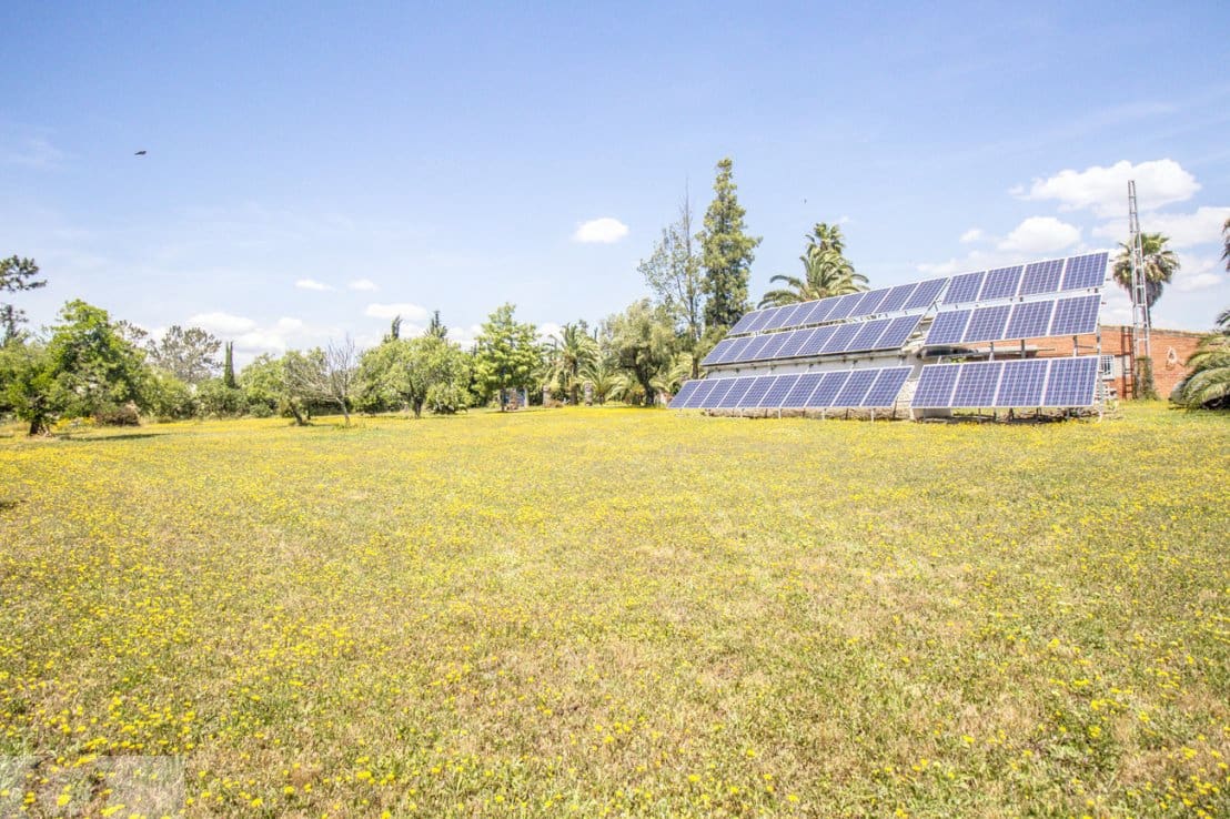 4 soveværelse Finca/Landehus til salg i Cartaya med swimmingpool - € 469.000 (Ref: 9023826)