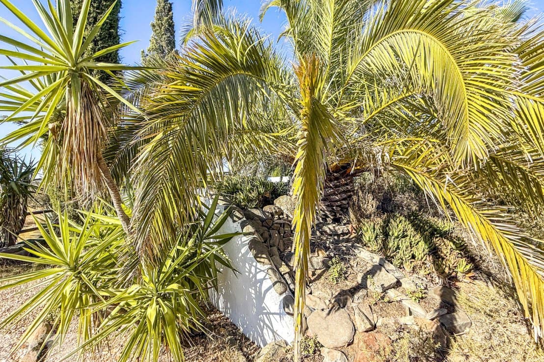 3 soverom Finca/Herregård til salgs i Sanlucar de Guadiana med svømmebasseng - € 495 000 (Ref: 9270534)