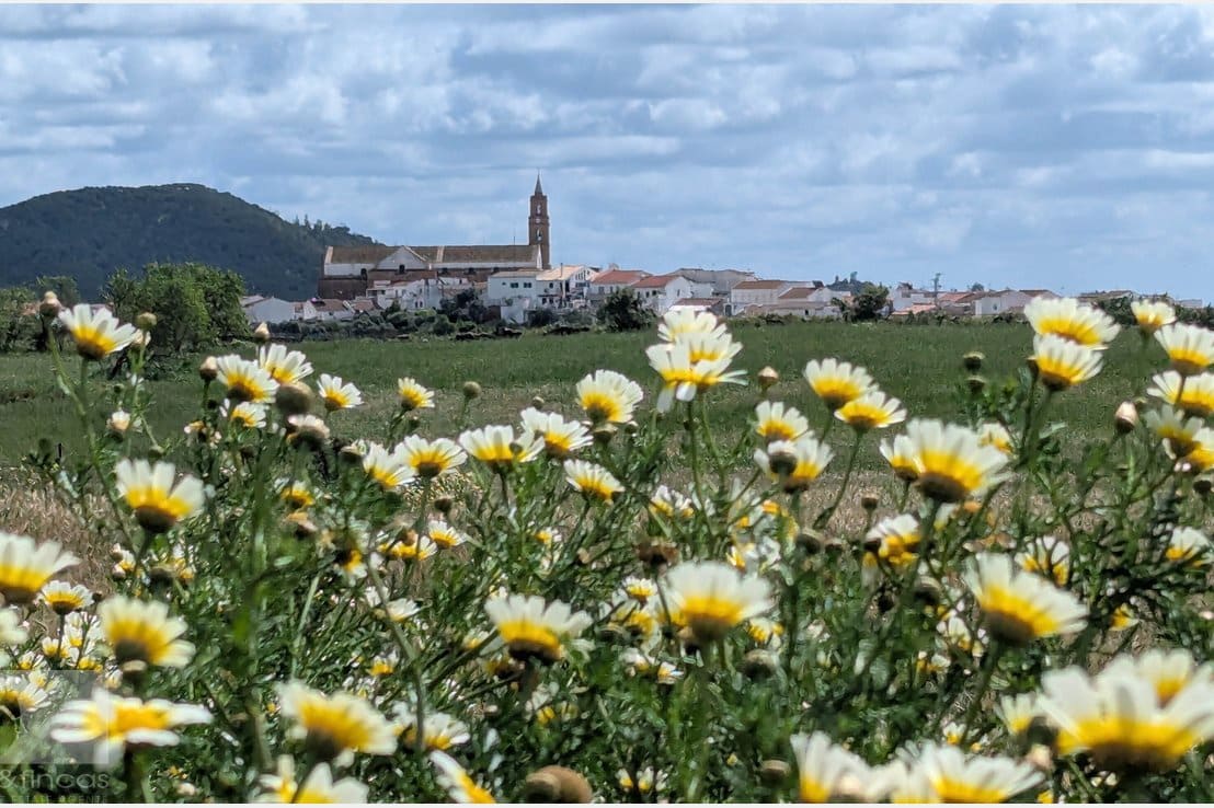 5 bedroom Villa for sale in Madrid city - € 420,000 (Ref: 9379649)