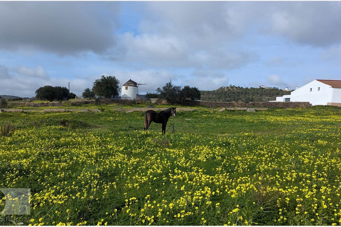 5 bedroom Villa for sale in Madrid city - € 420,000 (Ref: 9379649)