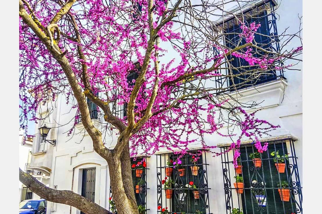 7 Zimmer Villa zu verkaufen in Ayamonte mit Pool - 1.299.000 € (Ref: 9404416)