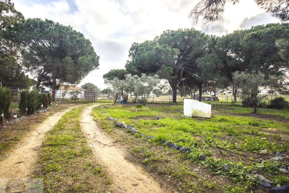 4 bedroom Finca/Country House for sale in Gibraleon - € 258,990 (Ref: 9542467)