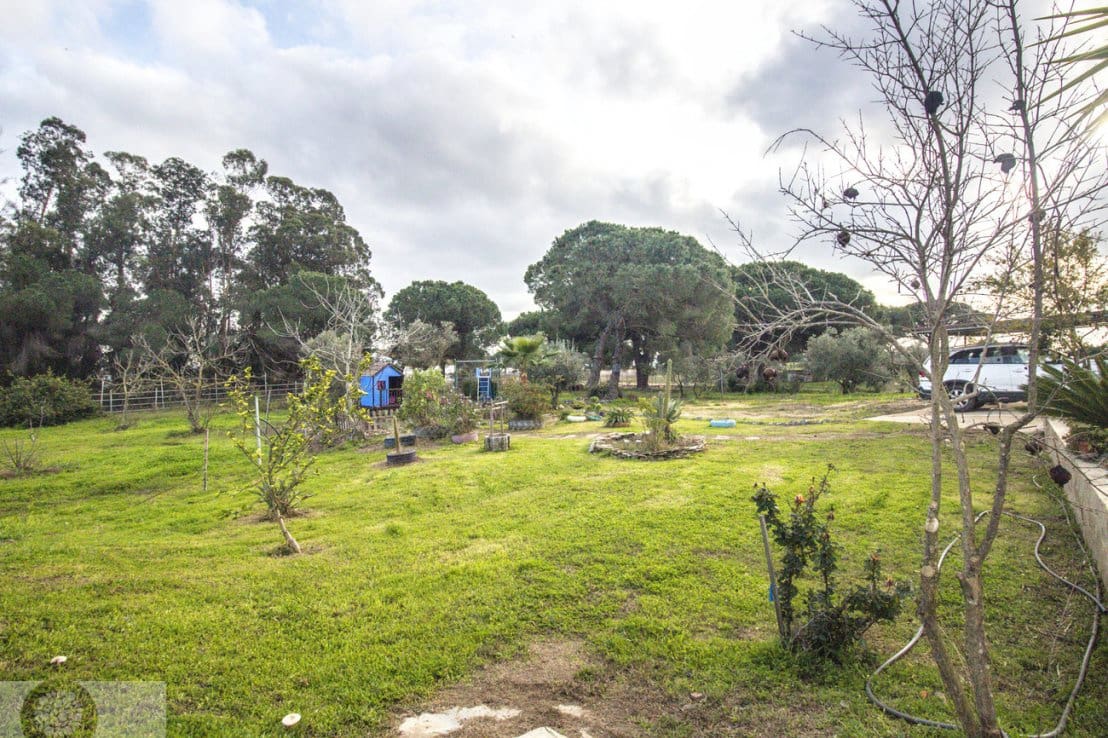 4 bedroom Finca/Country House for sale in Gibraleon - € 258,990 (Ref: 9542467)