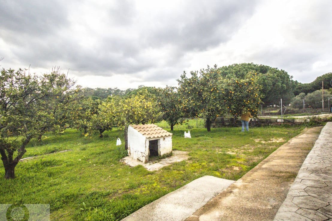 4 bedroom Finca/Country House for sale in Gibraleon - € 258,990 (Ref: 9542467)