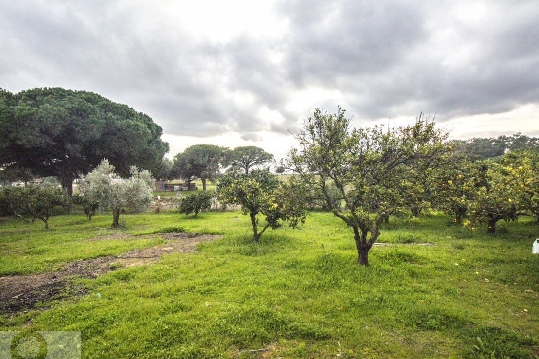 4 bedroom Finca/Country House for sale in Gibraleon - € 258,990 (Ref: 9542467)