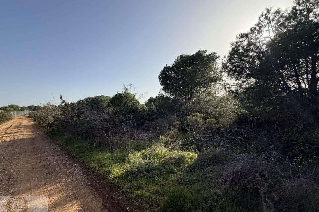 Terreno/Finca Rústica en Villablanca en venta - 55.000 € (Ref: 9631794)