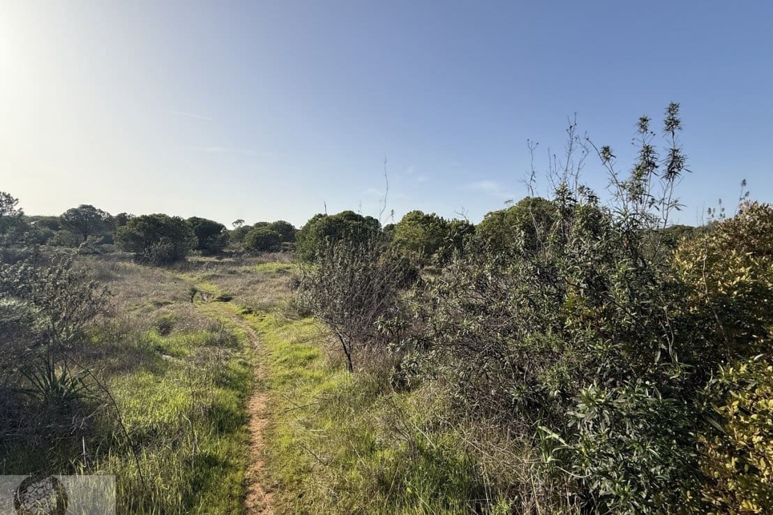 Terreno/Finca Rústica en Villablanca en venta - 55.000 € (Ref: 9631794)