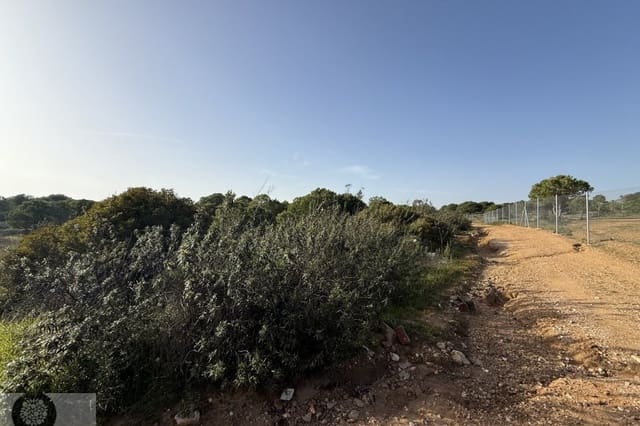 Terreno/Finca Rústica en Villablanca en venta - 55.000 € (Ref: 9631794)