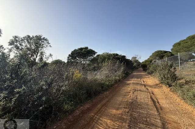 Terreno/Finca Rústica en Villablanca en venta - 55.000 € (Ref: 9631794)