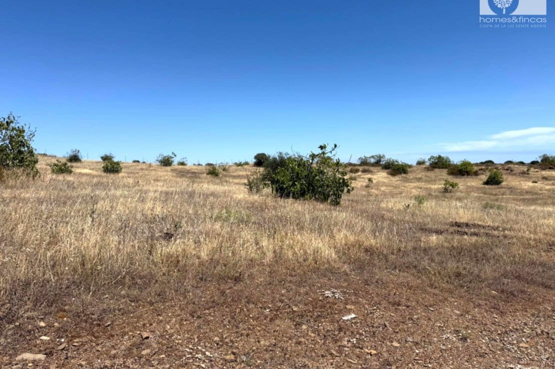 Mark till salu i Villablanca - 110 000 € (Ref: 9862441)