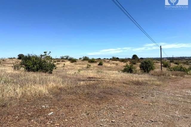 Mark till salu i Villablanca - 110 000 € (Ref: 9862441)