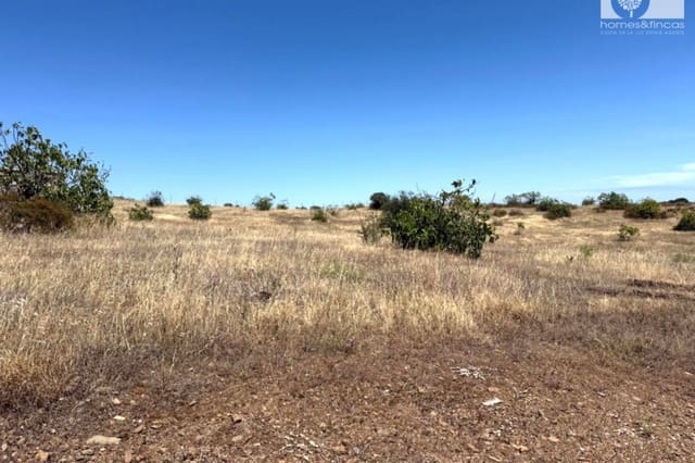 Mark till salu i Villablanca - 110 000 € (Ref: 9862441)