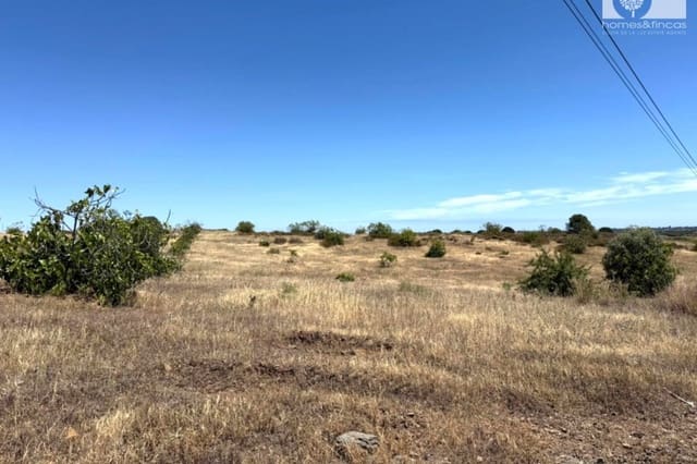 Mark till salu i Villablanca - 110 000 € (Ref: 9862441)