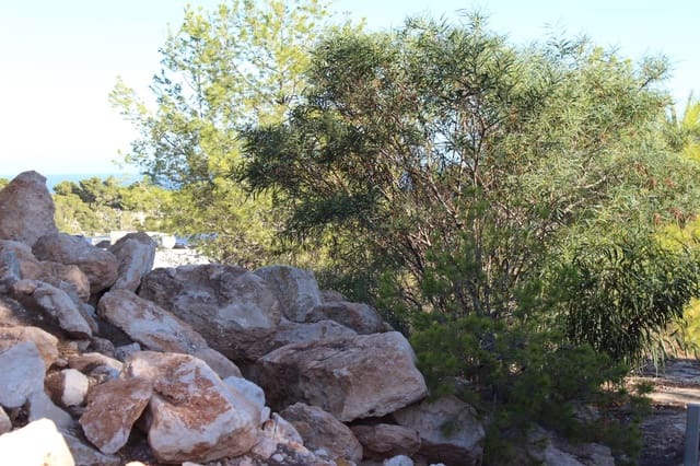 Bouwgrond te koop in Benissa - € 425.000 (Ref: 8625970)