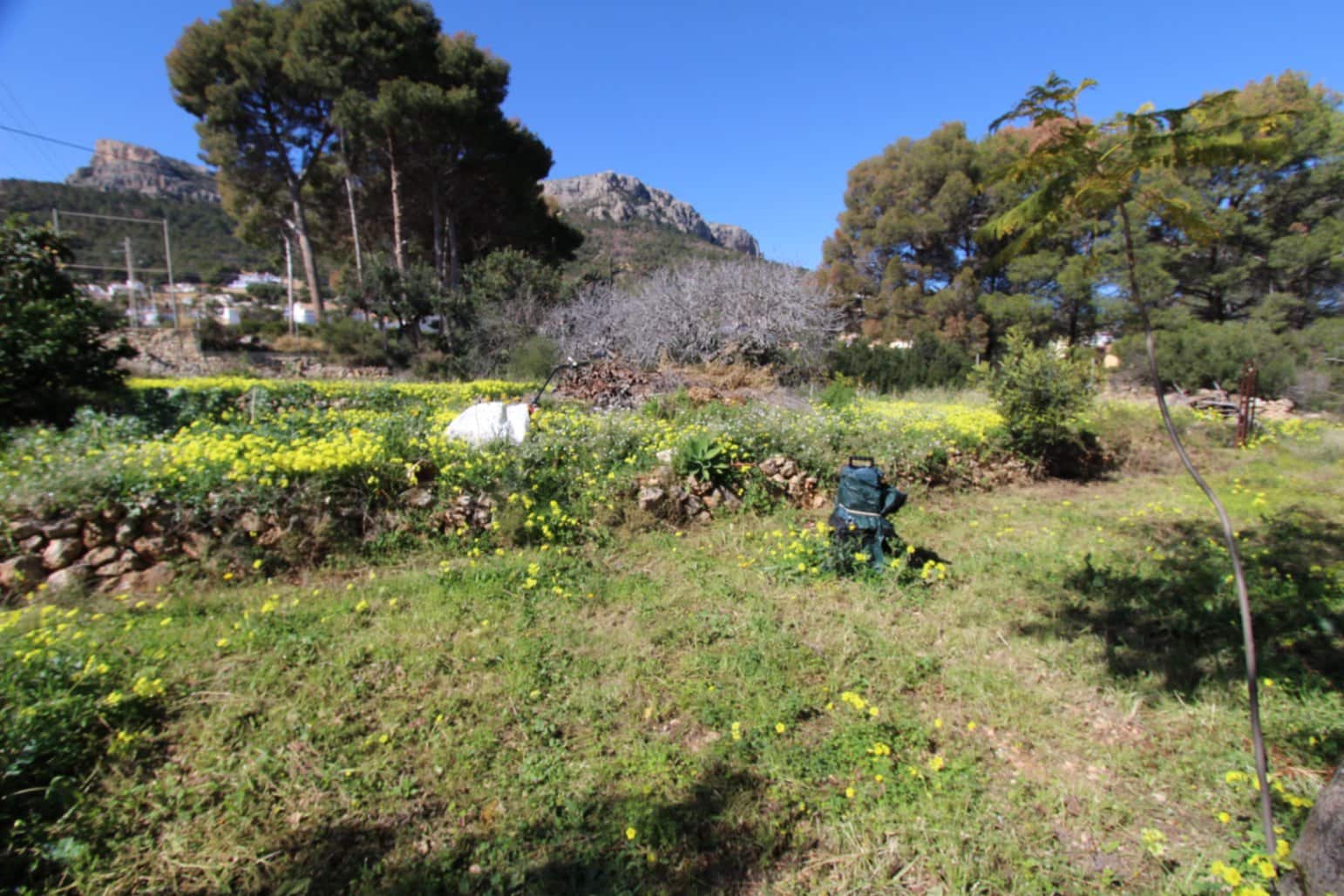 4 chambre Villa/Maison à vendre à Calpe / Calp - 372 500 € (Ref: 8843980)