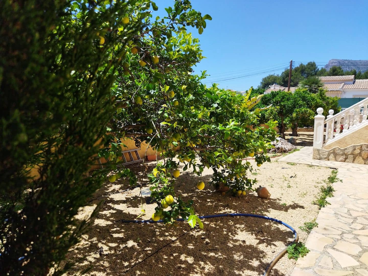 Chalet de 6 habitaciones en Calpe / Calp en venta con piscina garaje - 1.150.000 € (Ref: 9022287)