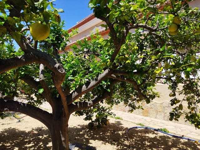 Chalet de 6 habitaciones en Calpe / Calp en venta con piscina garaje - 1.150.000 € (Ref: 9022287)