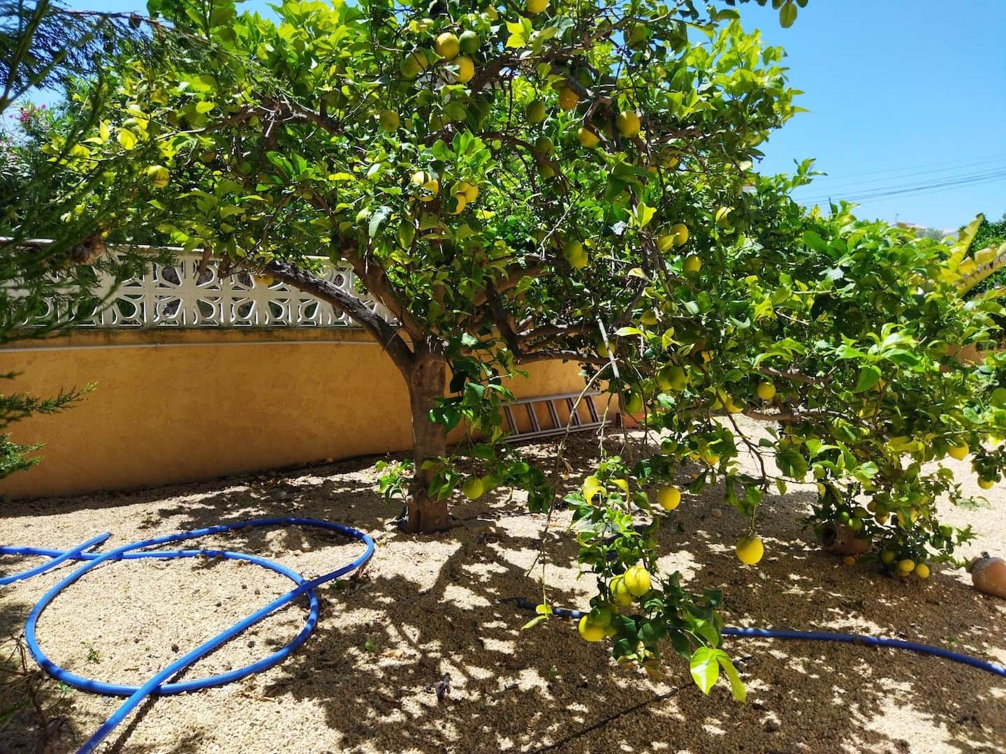 Chalet de 6 habitaciones en Calpe / Calp en venta con piscina garaje - 1.150.000 € (Ref: 9022287)