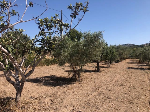 Tomt till salu i Calpe / Calp - 140 000 € (Ref: 9914532)