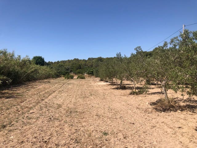 Tomt till salu i Calpe / Calp - 140 000 € (Ref: 9914532)