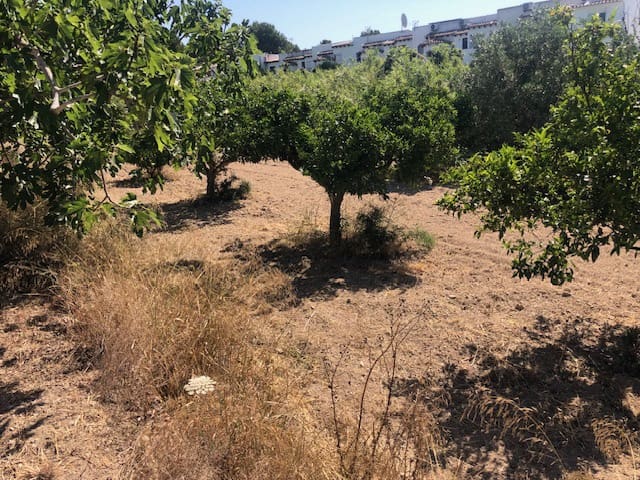 Tomt till salu i Calpe / Calp - 140 000 € (Ref: 9914532)