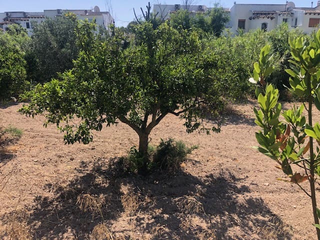 Tomt till salu i Calpe / Calp - 140 000 € (Ref: 9914532)