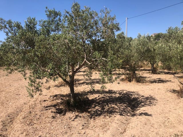 Tomt till salu i Calpe / Calp - 140 000 € (Ref: 9914532)