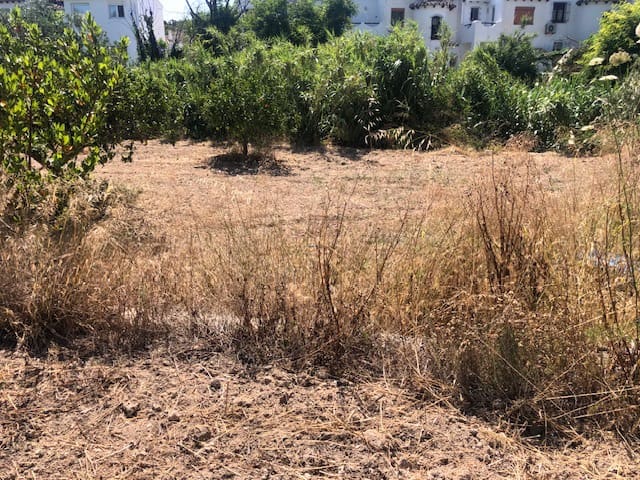 Tomt till salu i Pueblo, Calpe / Calp - 140 000 € (Ref: 9914532)