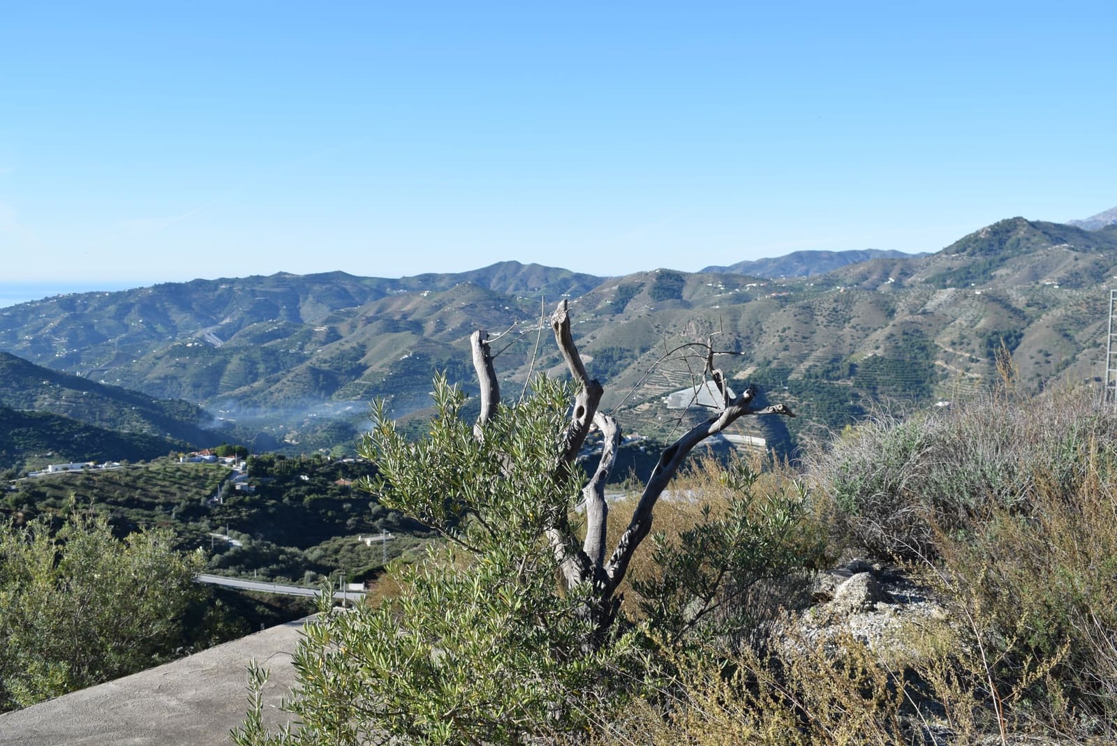 Grunde uden byggetilladelser til salg i Jete - € 39.000 (Ref: 4912339)