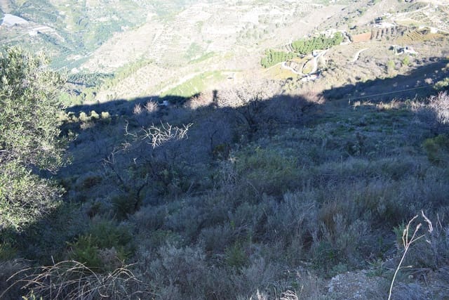 Undeveloped Land for sale in Jete - € 39,000 (Ref: 4912339)