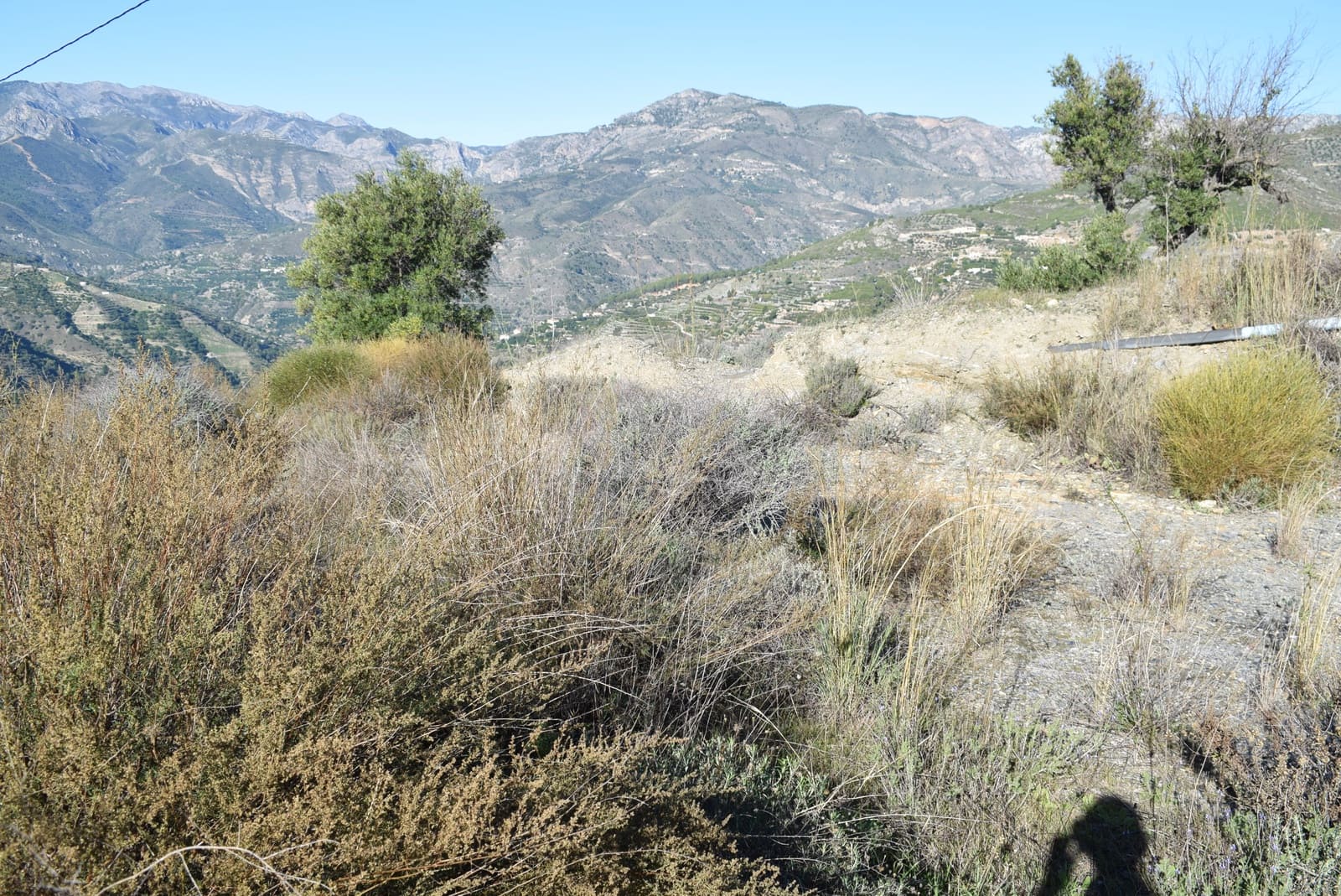 Grunde uden byggetilladelser til salg i Jete - € 39.000 (Ref: 4912339)