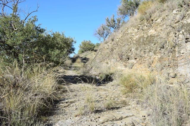 Undeveloped Land for sale in Jete - € 39,000 (Ref: 4912339)