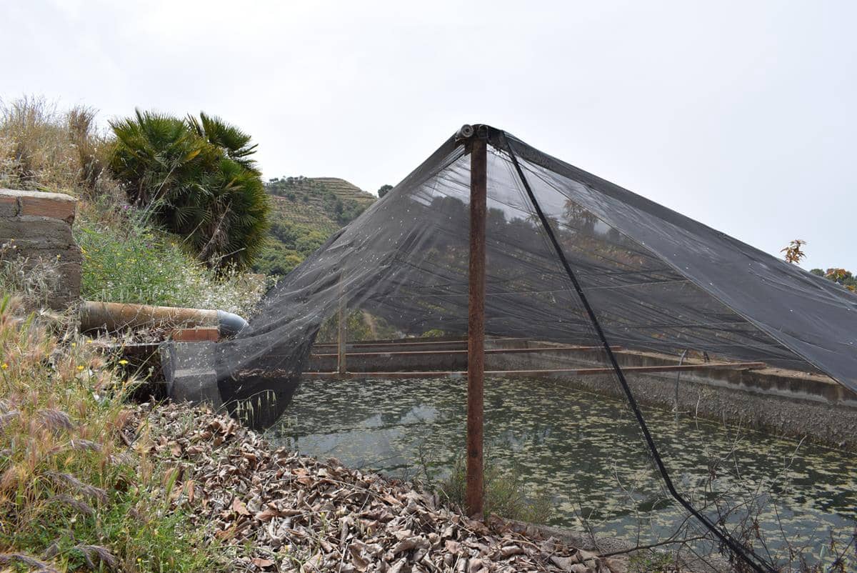 Finca/Country House for sale in Jete - € 69,000 (Ref: 6943872)