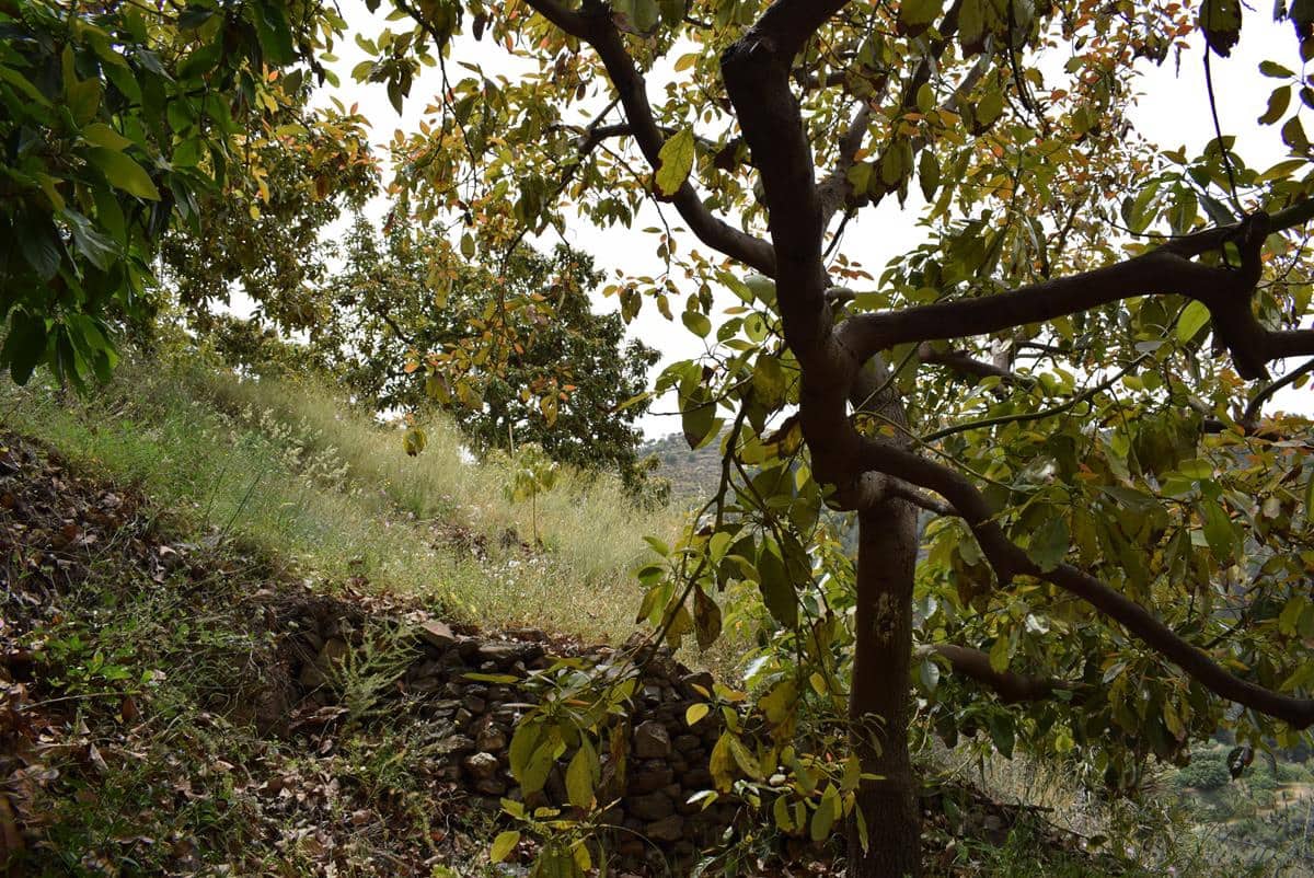 Finca/Country House for sale in Jete - € 69,000 (Ref: 6943872)